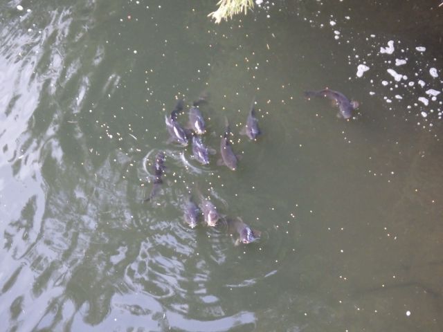 f:id:handpanshoman:20220307204113j:plain