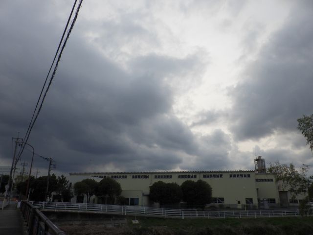f:id:handpanshoman:20220330200640j:plain