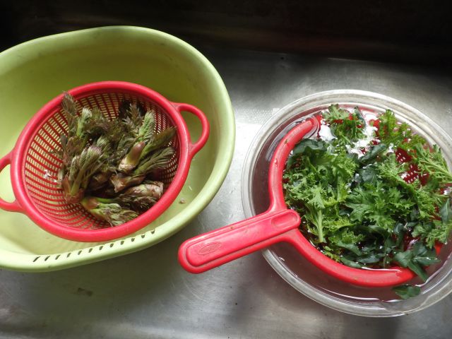 f:id:handpanshoman:20220331183101j:plain