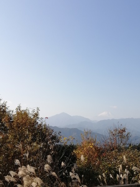 高尾山