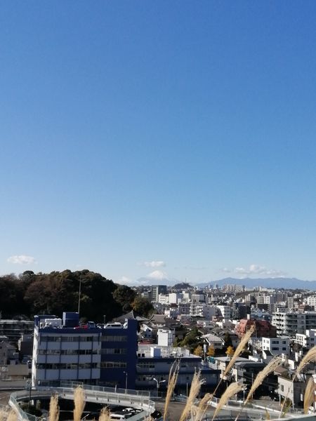 横浜