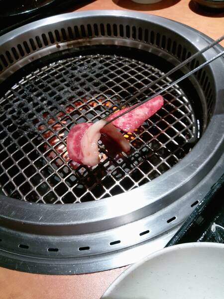 ランチ