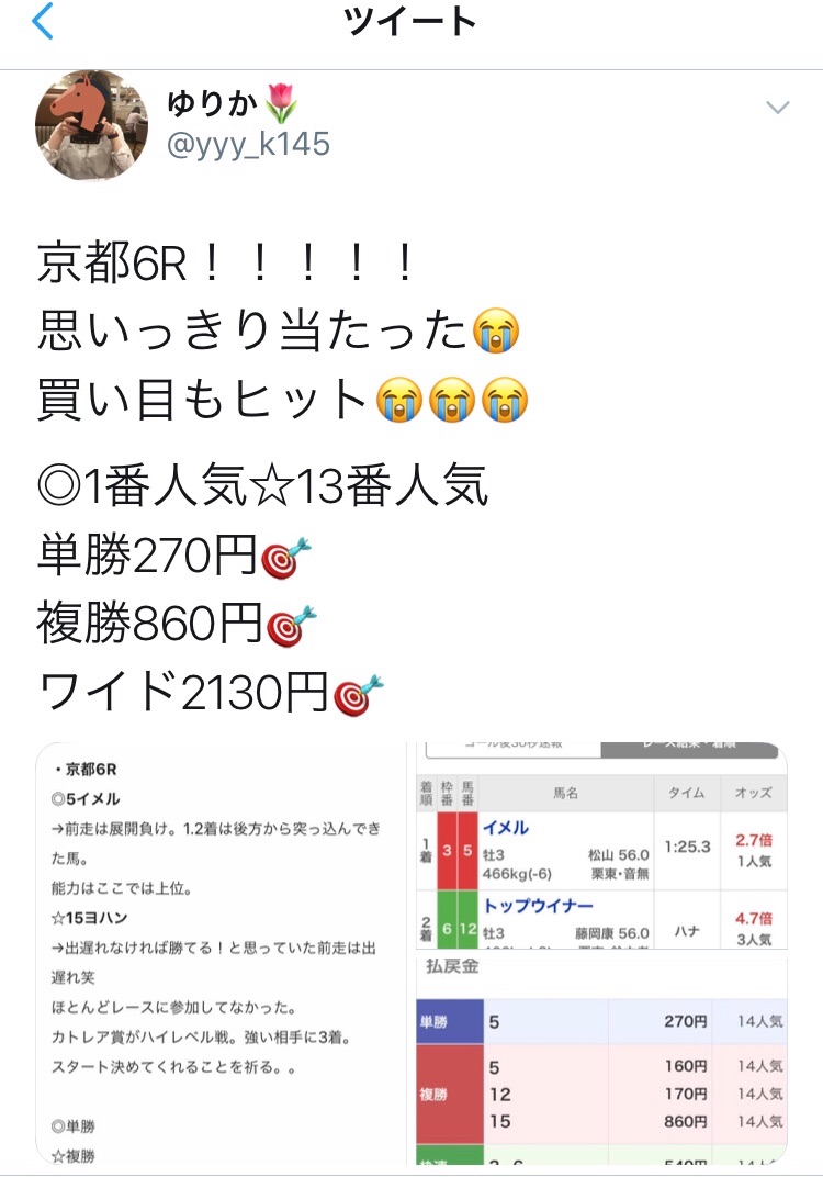 f:id:hane_keiba:20190601010508j:image f:id:hane_keiba:20190601010508j:image