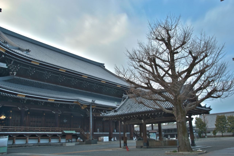 f:id:hanecci:20130131024746j:image:w640