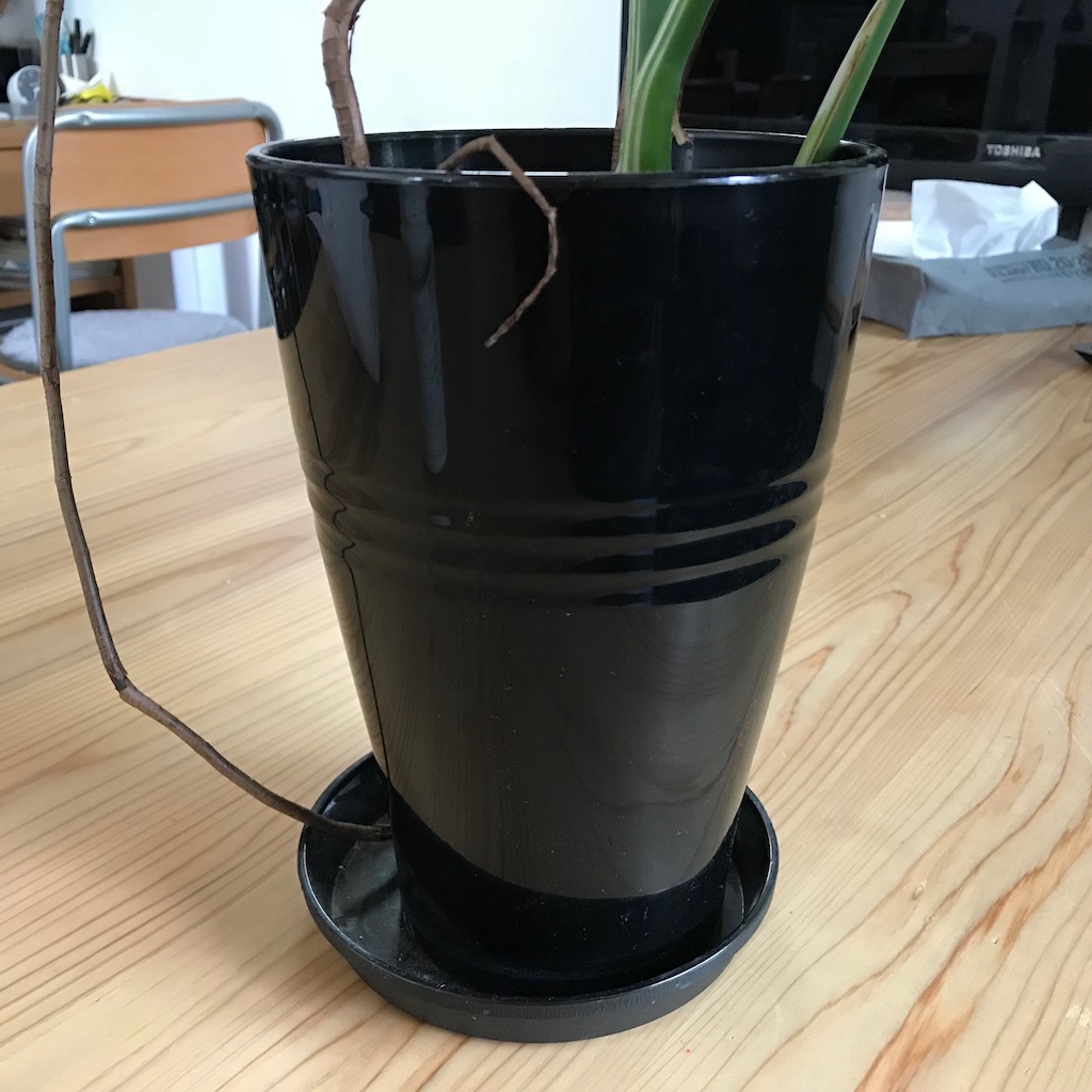 f:id:hanecochang:20171019153836j:plain