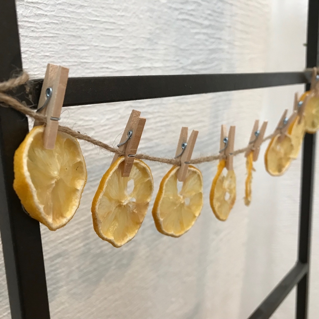 f:id:hanecochang:20180302095455j:plain