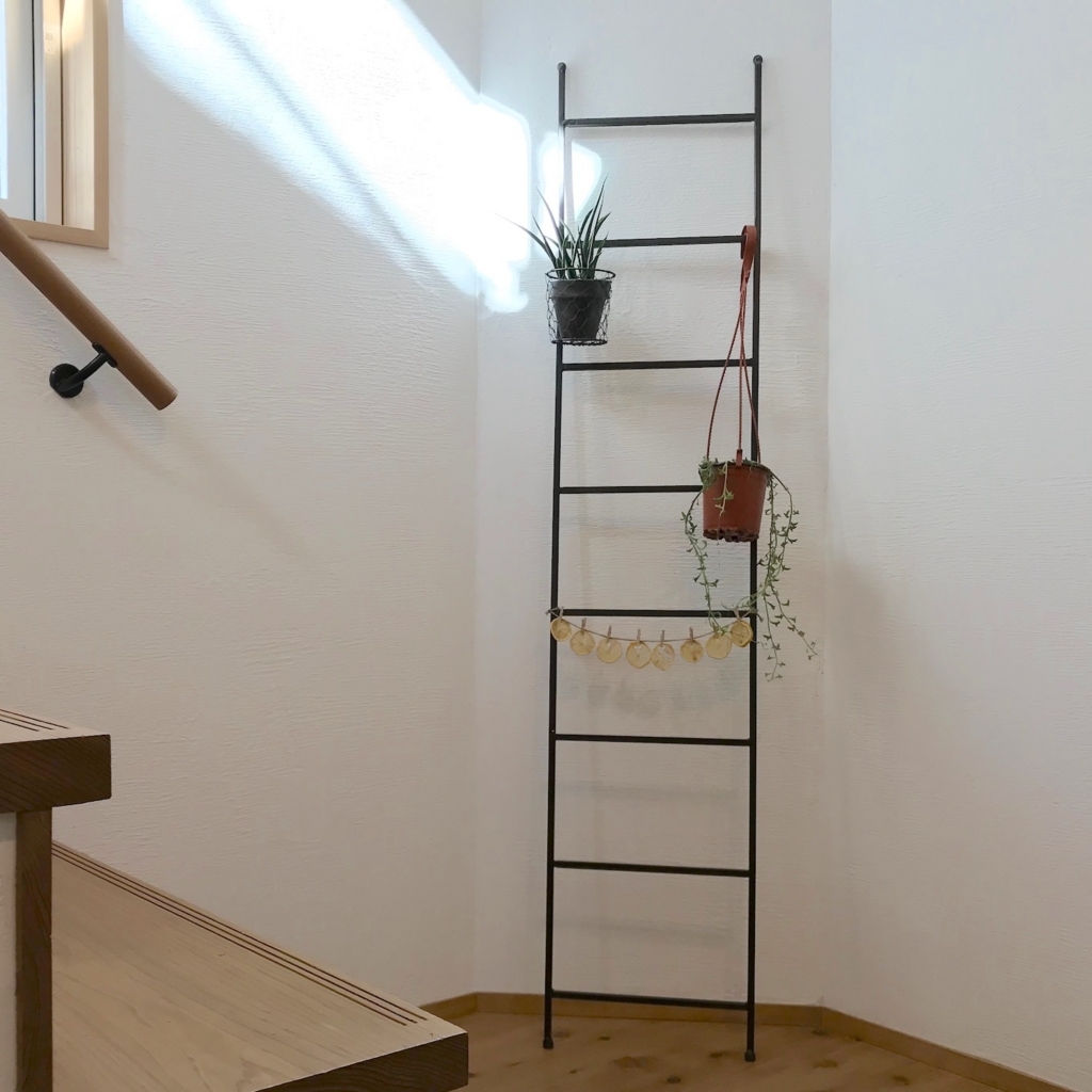 f:id:hanecochang:20180302095501j:plain