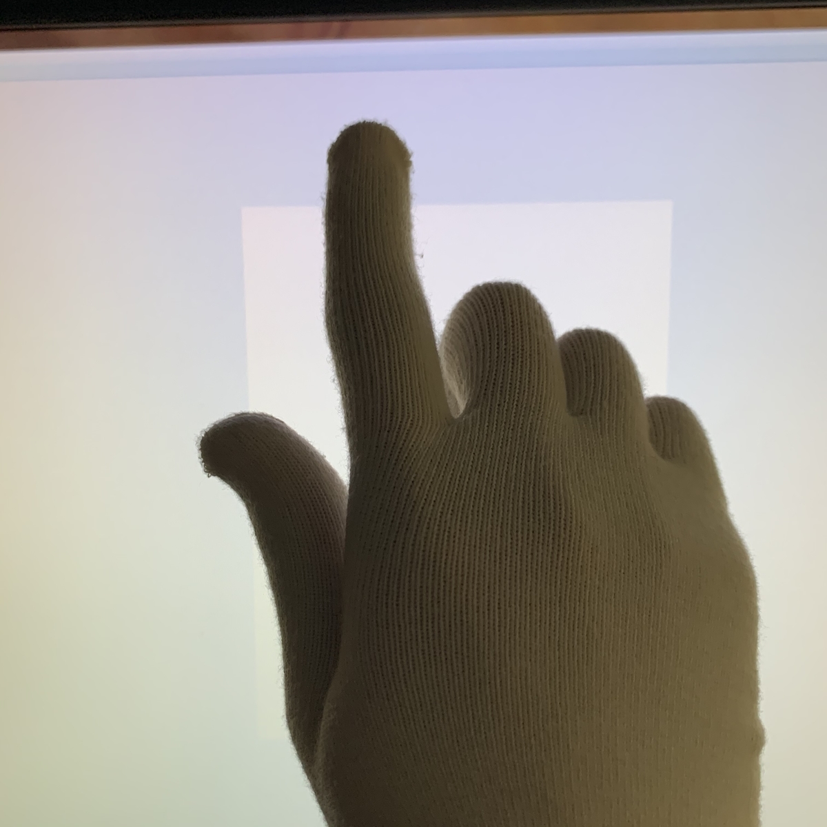 f:id:hanegarasu:20191221160915j:plain