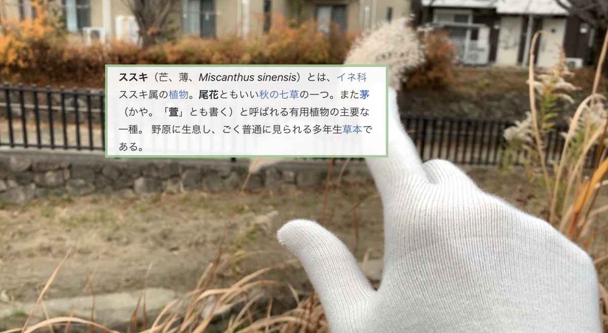 f:id:hanegarasu:20191221164416j:plain