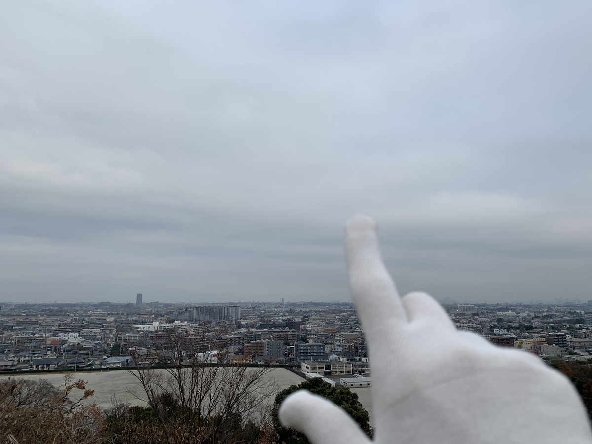 f:id:hanegarasu:20191221170456j:plain