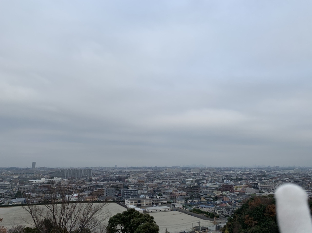 f:id:hanegarasu:20191221173132j:plain