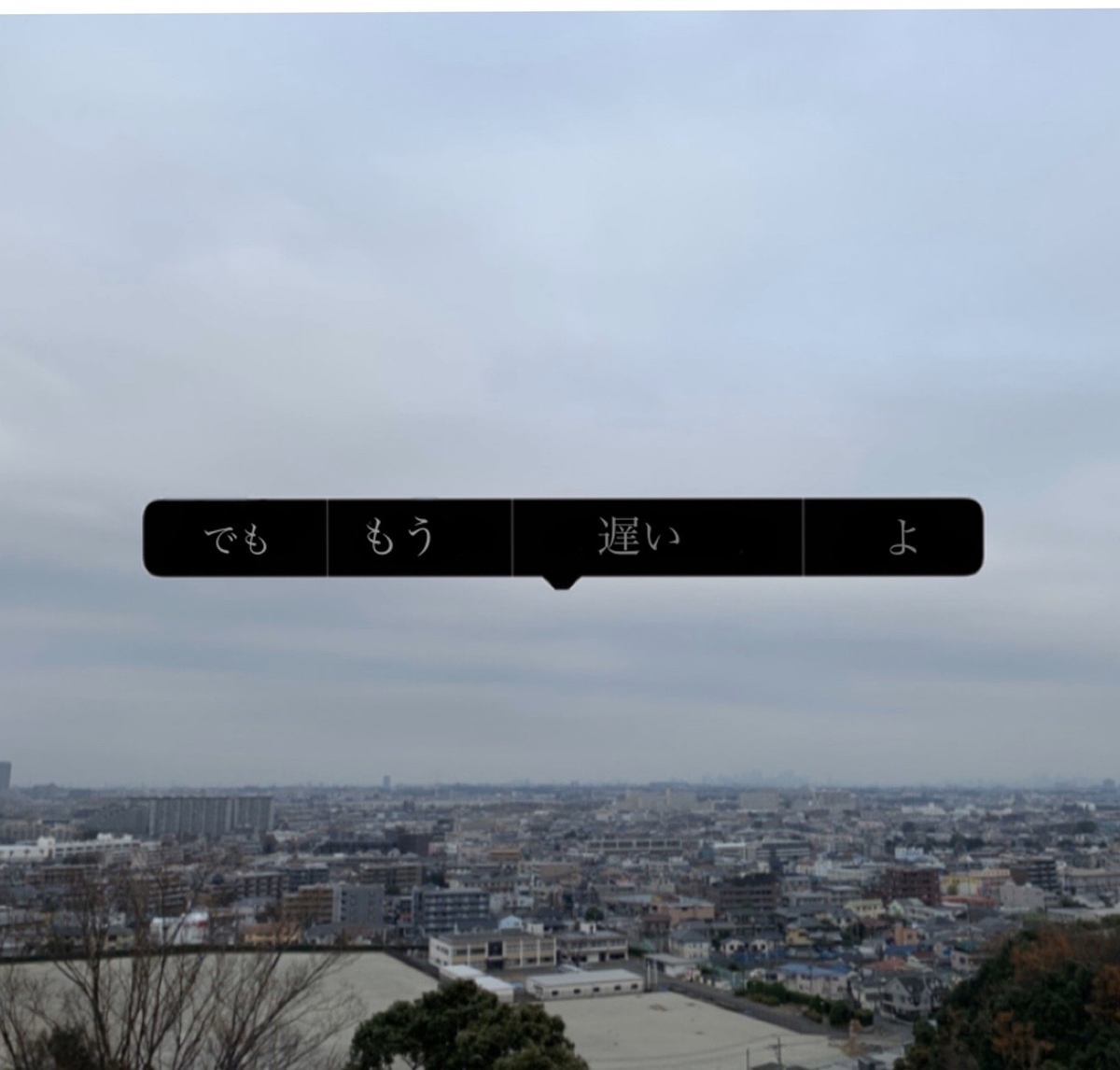 f:id:hanegarasu:20191221174241j:plain
