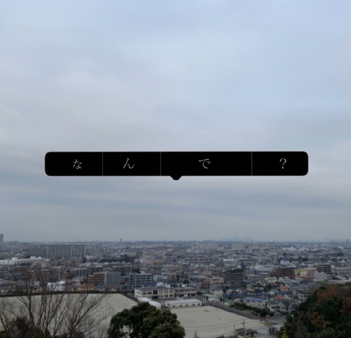 f:id:hanegarasu:20191221174310j:plain