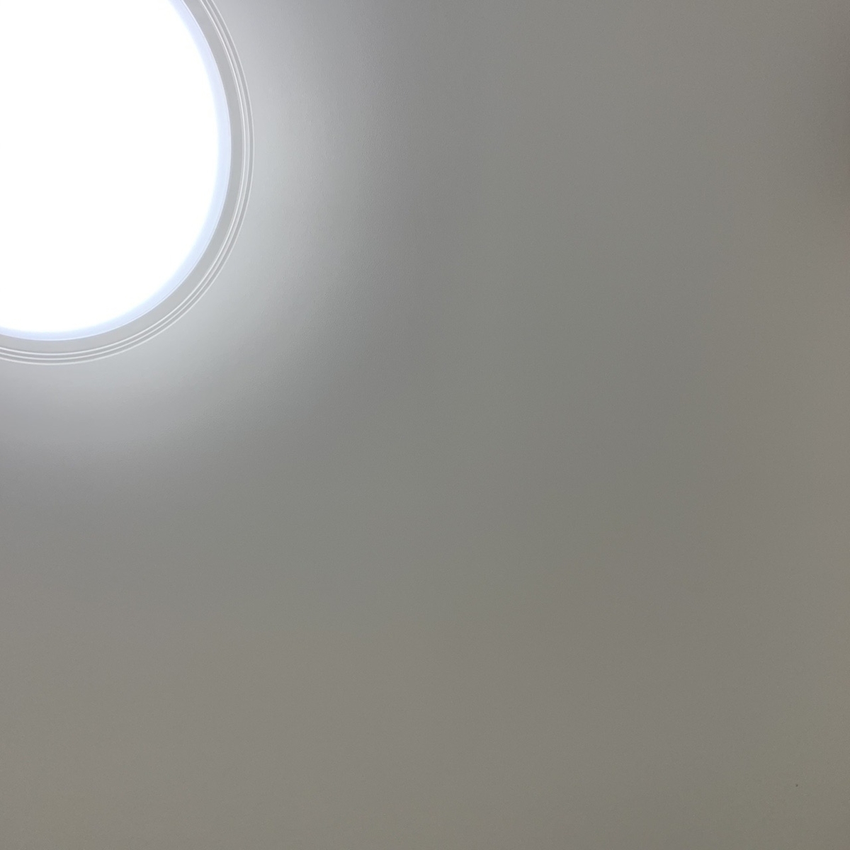 f:id:hanegarasu:20191221175353j:plain