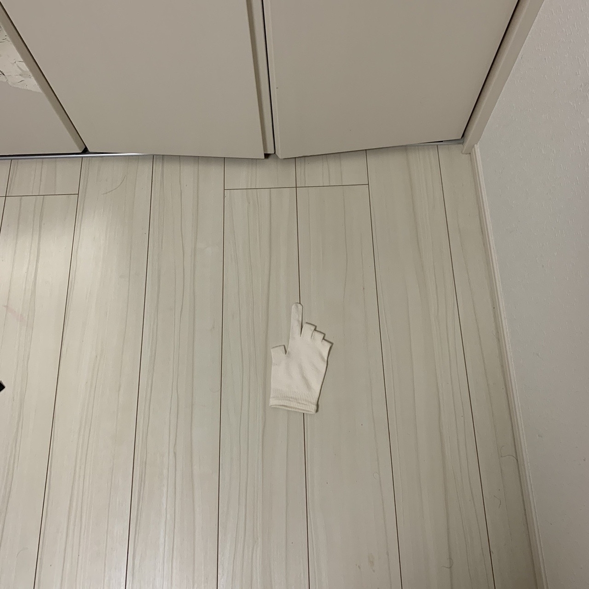 f:id:hanegarasu:20191221175740j:plain