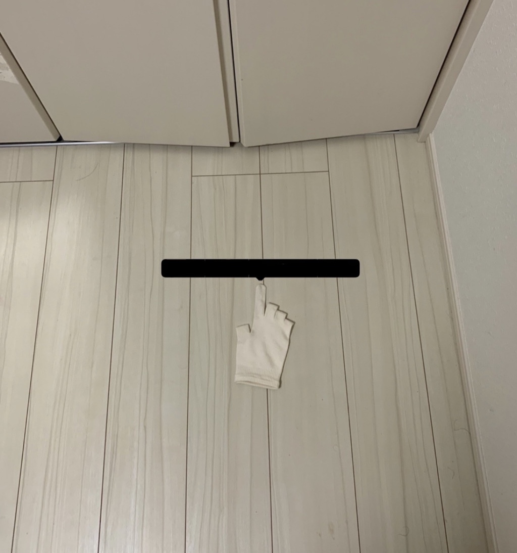 f:id:hanegarasu:20191221180126j:plain