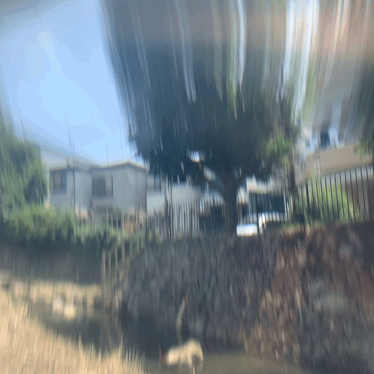 f:id:hanegarasu:20210717124146j:plain