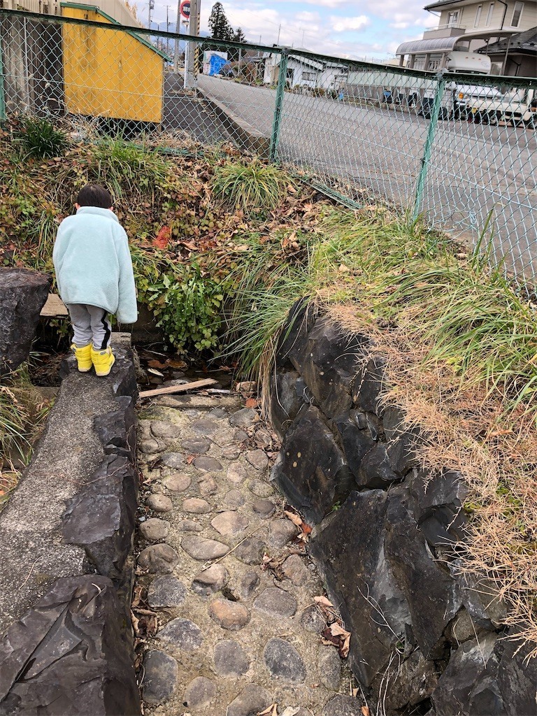 f:id:haneimo:20221206000729j:image