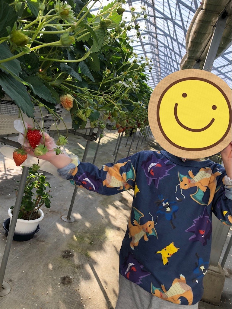 f:id:haneimo:20230122181335j:image f:id:haneimo:20230122181335j:image