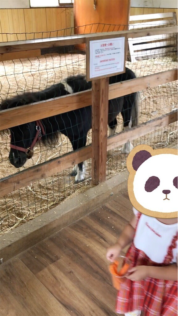 f:id:haneimo:20230625213322j:image