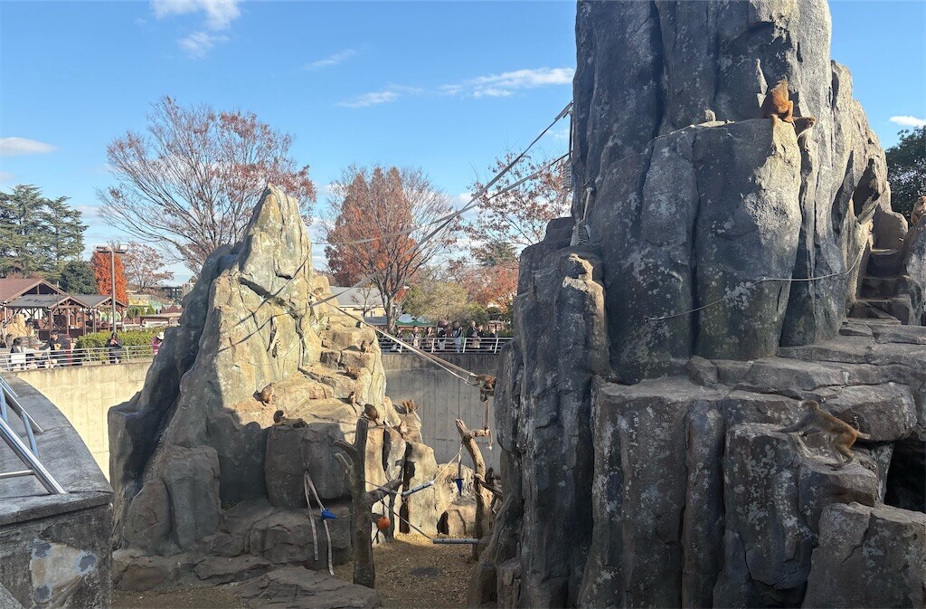 f:id:haneimo:20241208094401j:image f:id:haneimo:20241208094401j:image