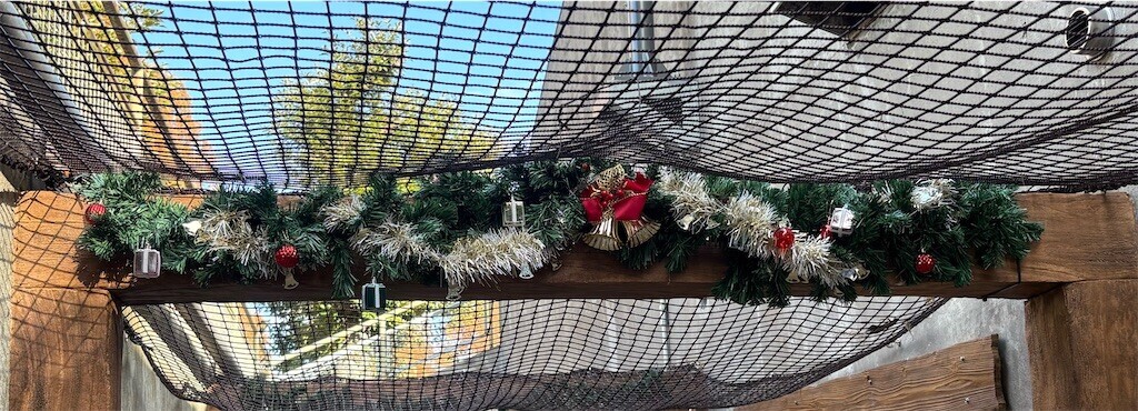 f:id:haneimo:20241208094408j:image f:id:haneimo:20241208094408j:image