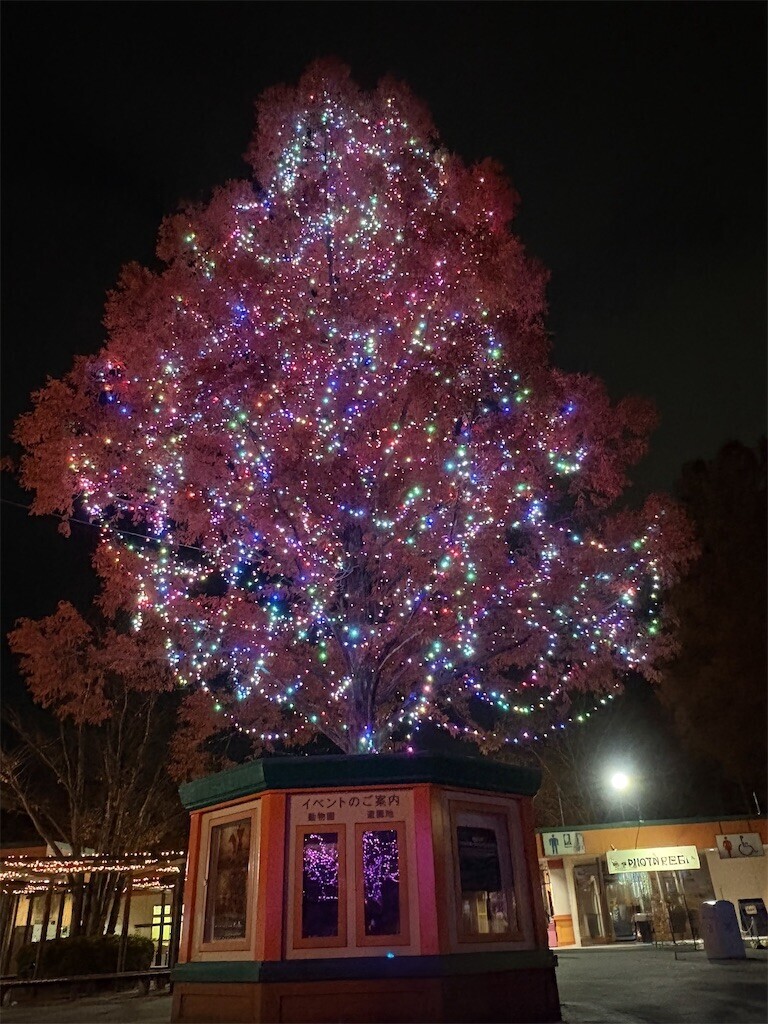 f:id:haneimo:20241208094415j:image f:id:haneimo:20241208094415j:image