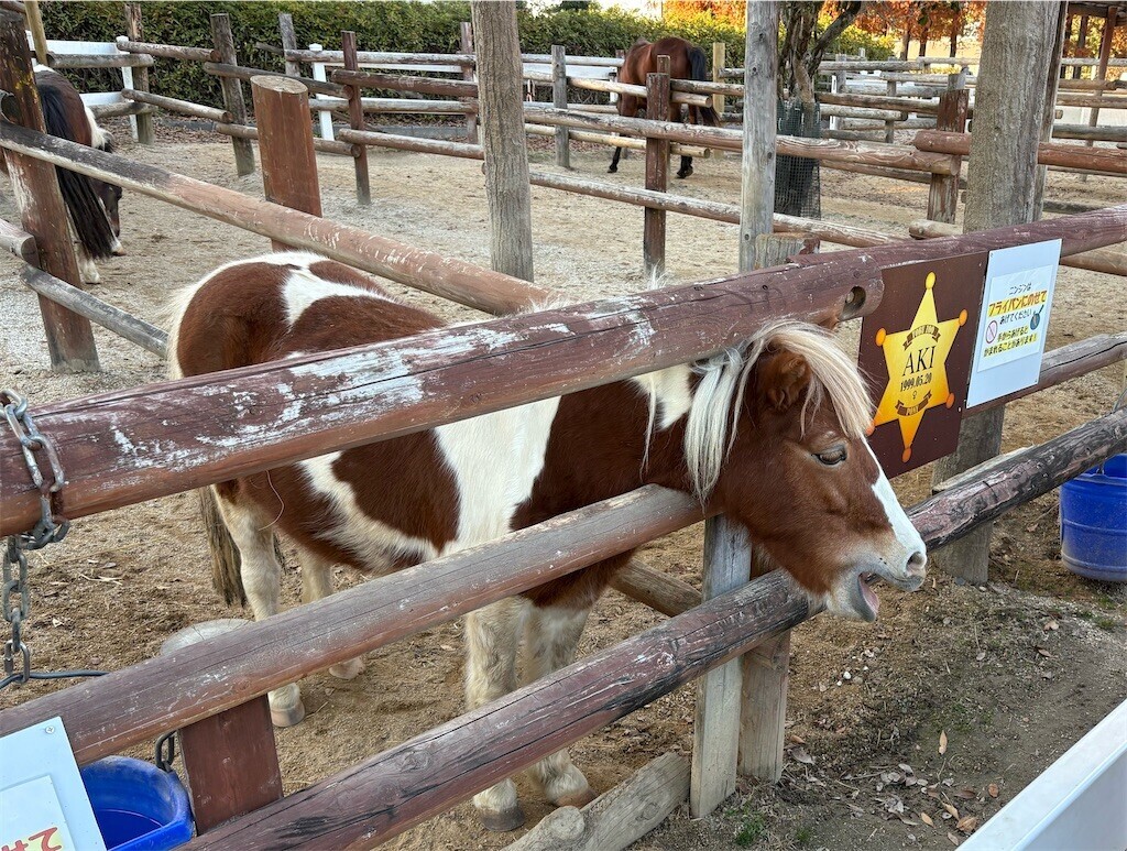 f:id:haneimo:20241208094419j:image f:id:haneimo:20241208094419j:image