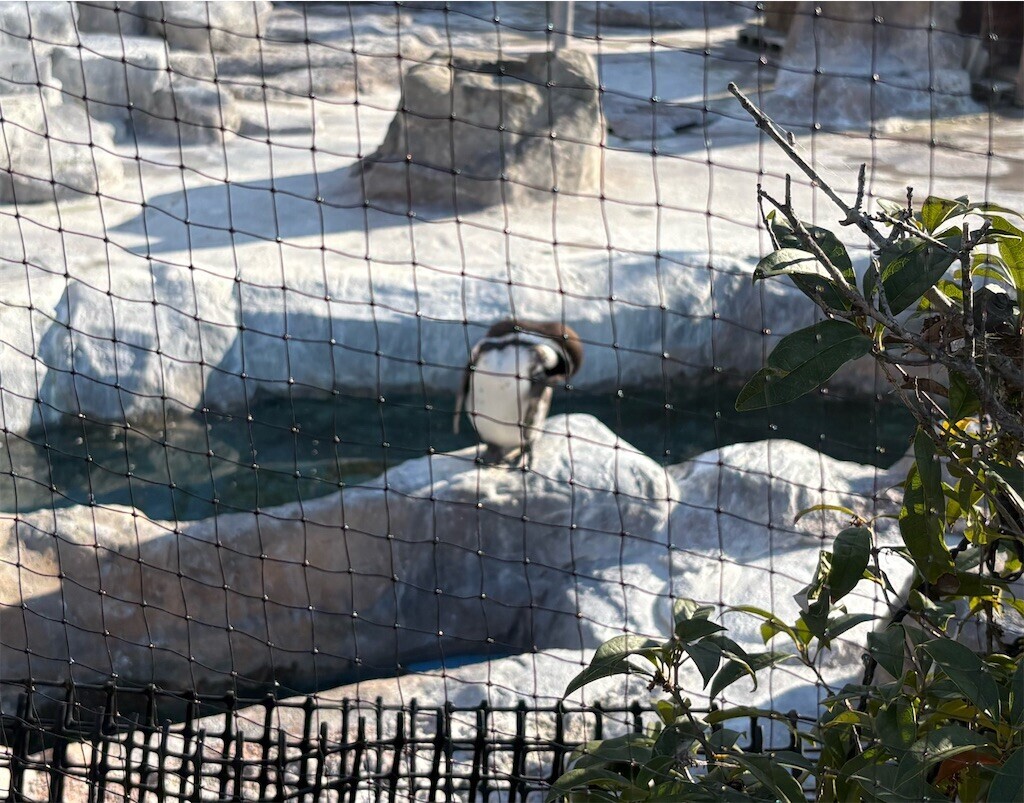 f:id:haneimo:20241208094439j:image f:id:haneimo:20241208094439j:image