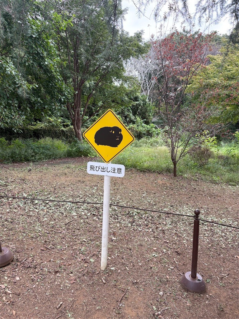 f:id:haneimo:20250923192150j:image f:id:haneimo:20250923192150j:image