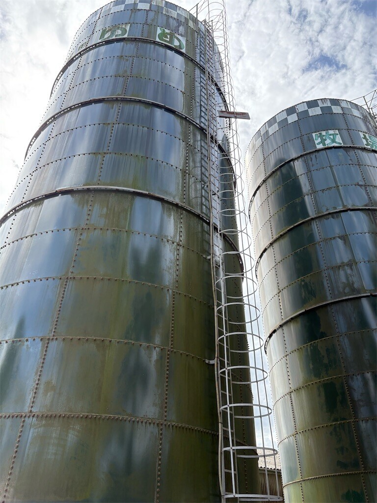 f:id:haneimo:20250923192227j:image f:id:haneimo:20250923192227j:image