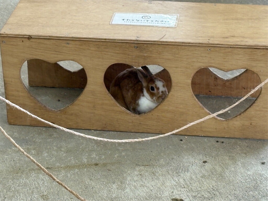 f:id:haneimo:20250923192237j:image f:id:haneimo:20250923192237j:image