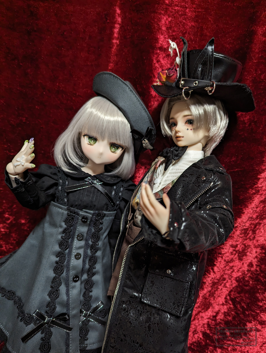 ドールお迎えレポート】DOLKのお取り寄せを利用したお迎えまでの