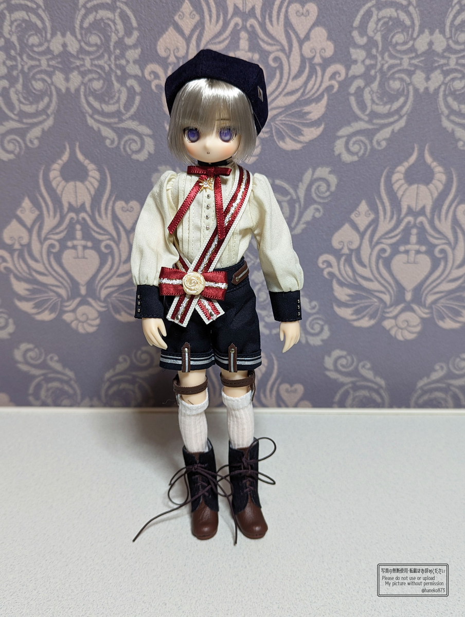 初めての1/6ドール！AZONE「アイリスコレクトプチ」Leo（レオ
