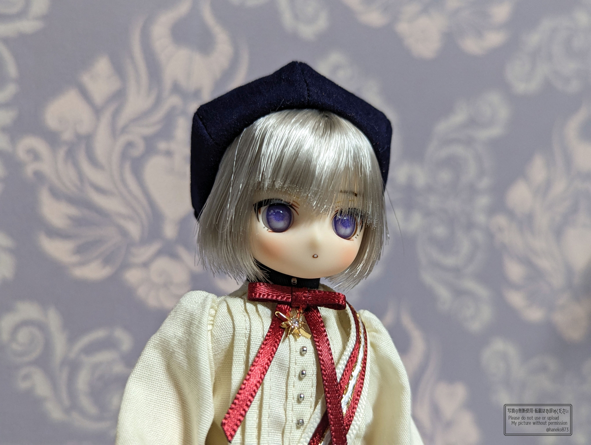 初めての1/6ドール！AZONE「アイリスコレクトプチ」Leo（レオ）お迎え