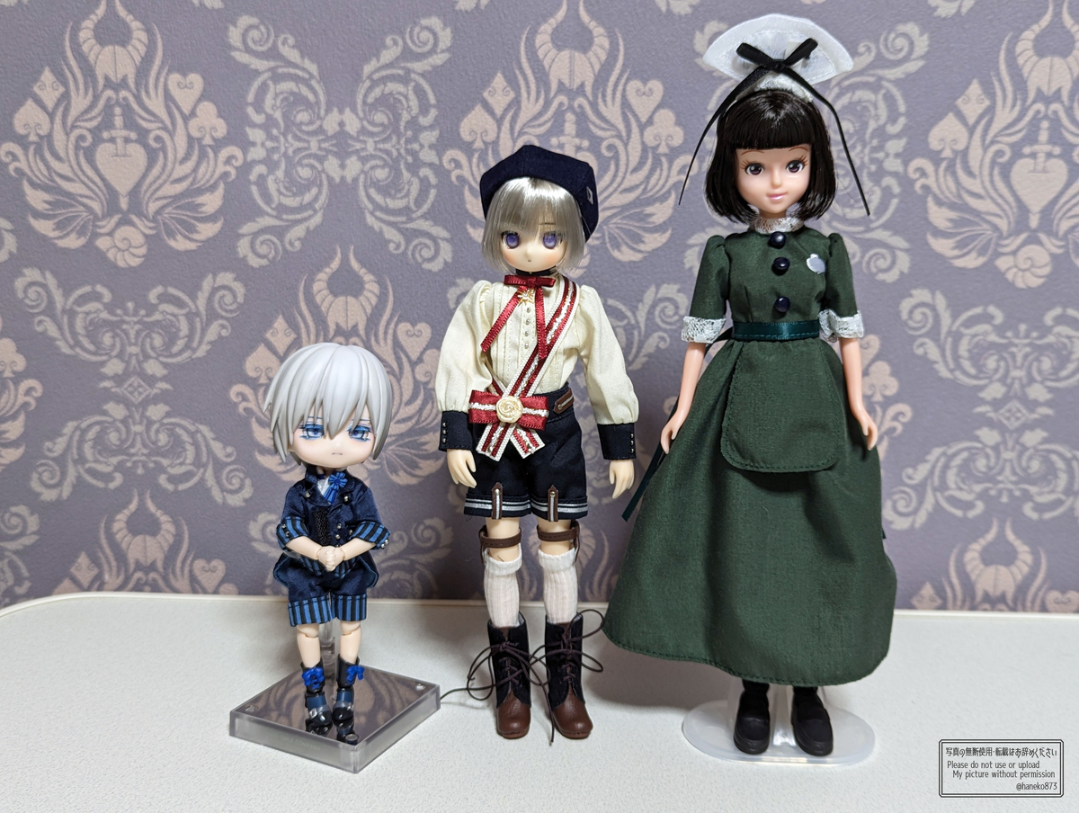 初めての1/6ドール！AZONE「アイリスコレクトプチ」Leo（レオ）お迎え