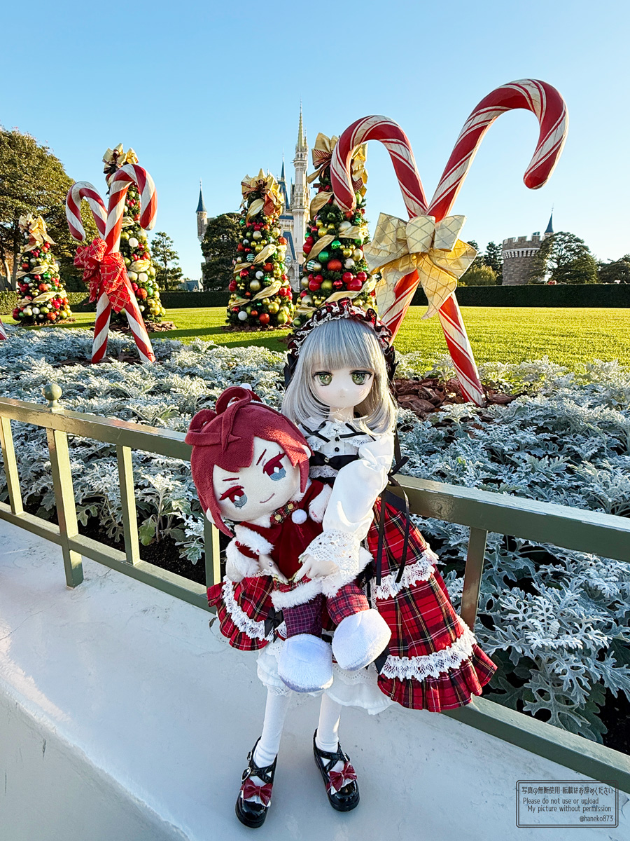 クリスマス装飾