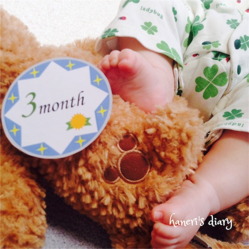 f:id:hanerim:20160520233218j:image