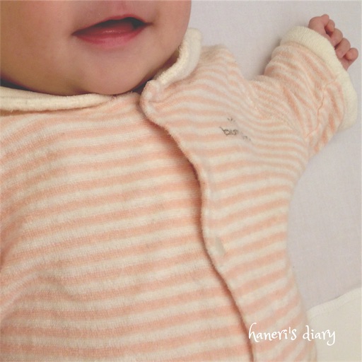 f:id:hanerim:20170124032658j:image