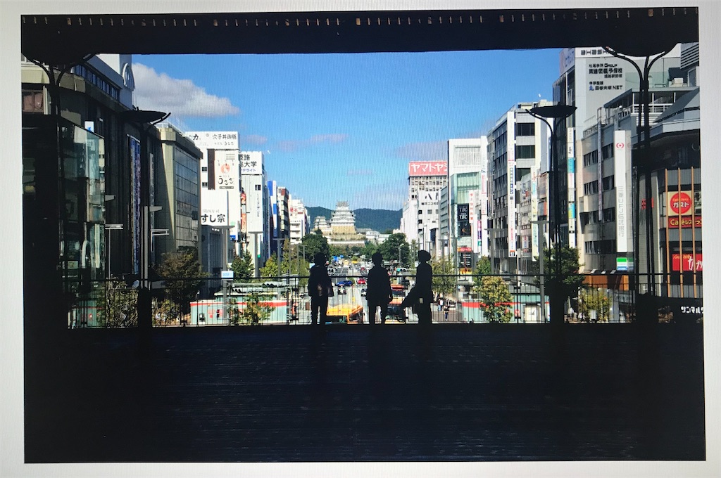 f:id:hangakun:20201015195046j:image