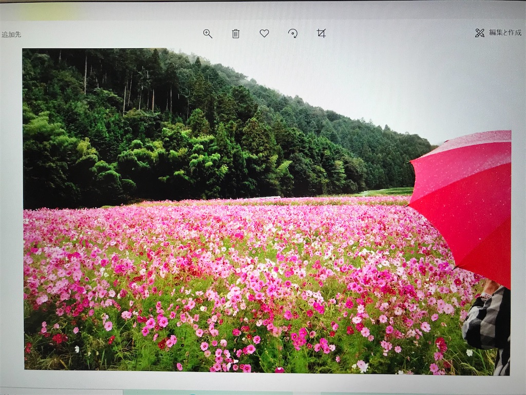 f:id:hangakun:20201017201645j:image