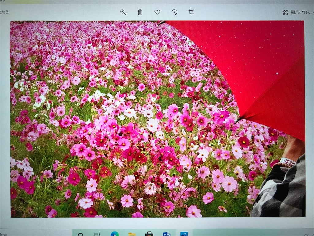 f:id:hangakun:20201017201725j:image