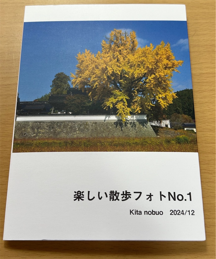 f:id:hangakun:20250206184603j:image