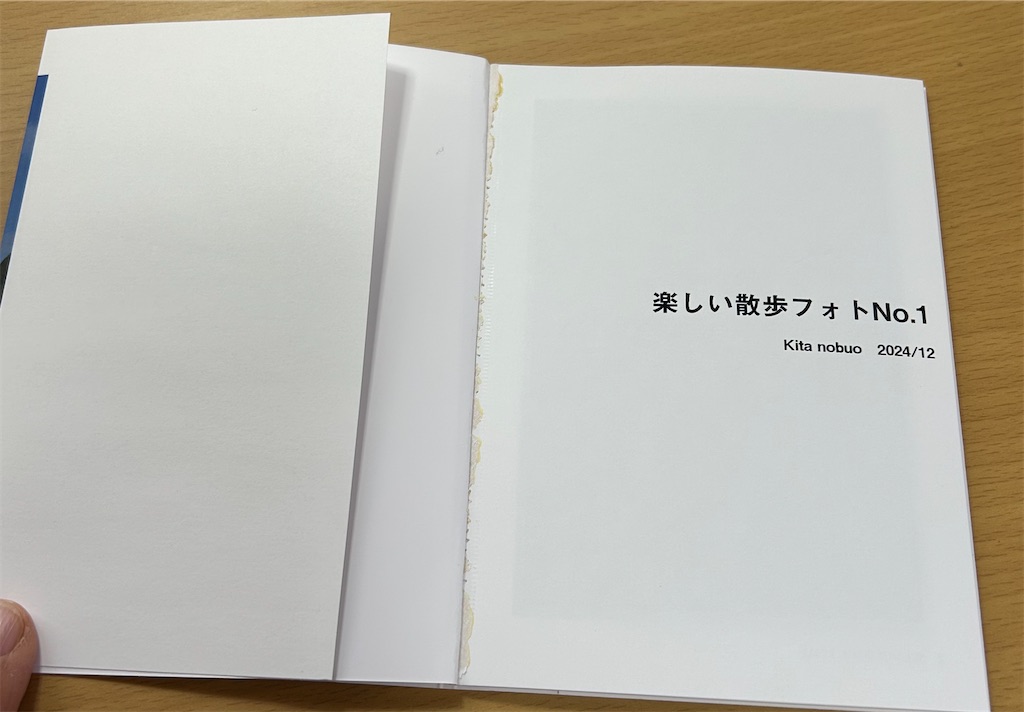 f:id:hangakun:20250206184739j:image