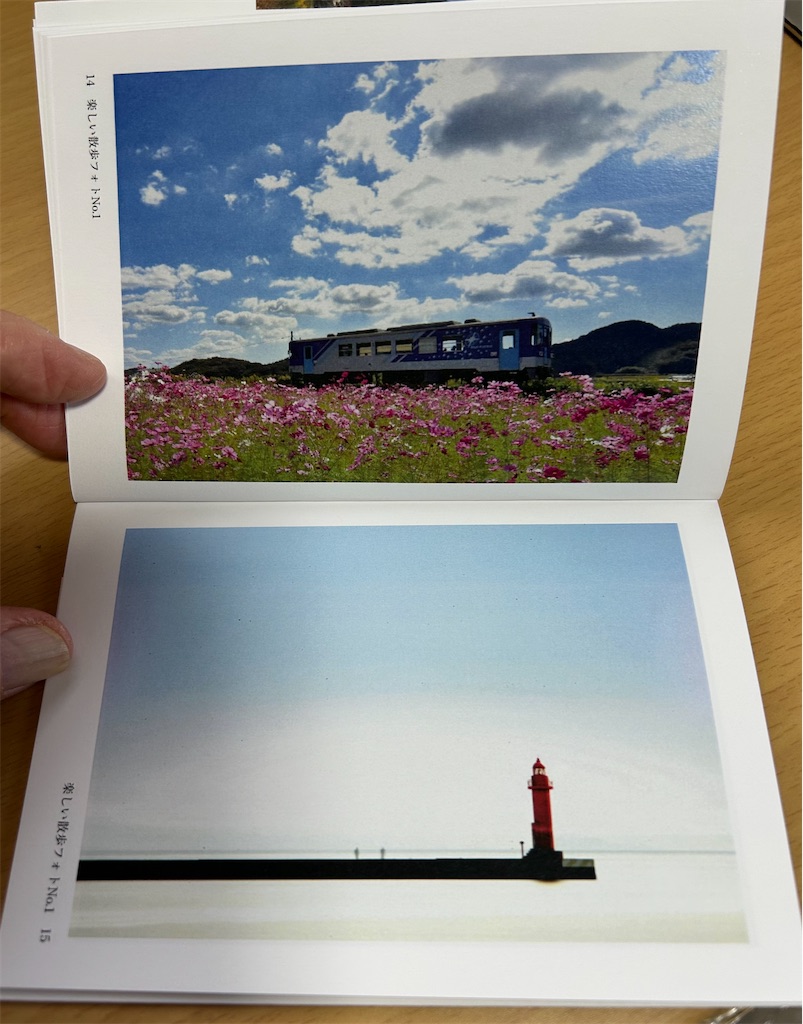 f:id:hangakun:20250206184935j:image
