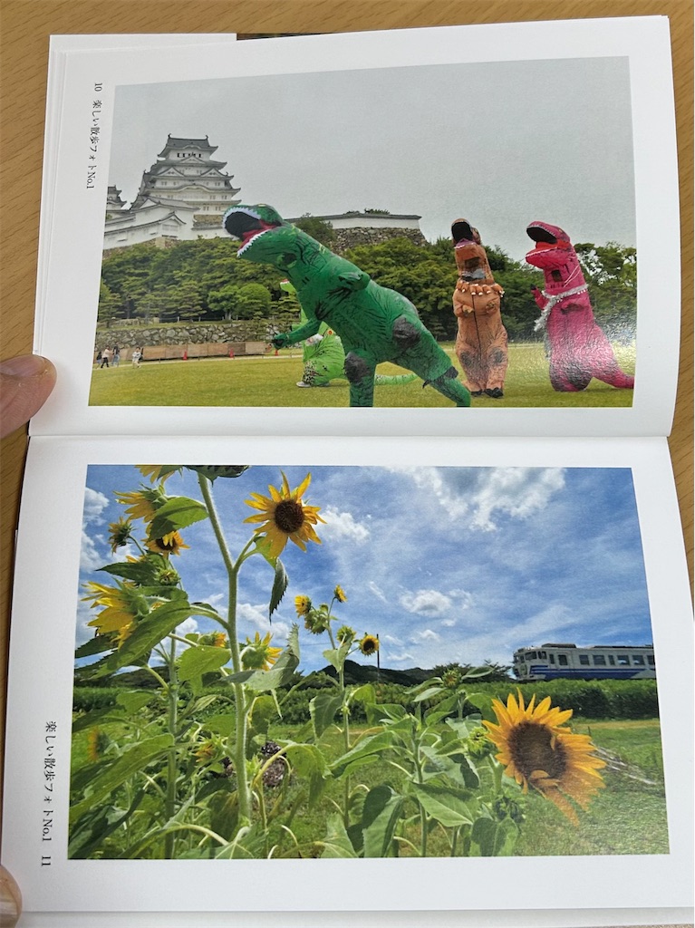f:id:hangakun:20250206184954j:image