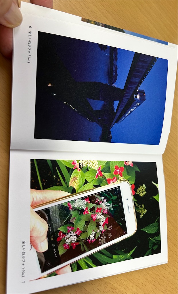 f:id:hangakun:20250206185000j:image