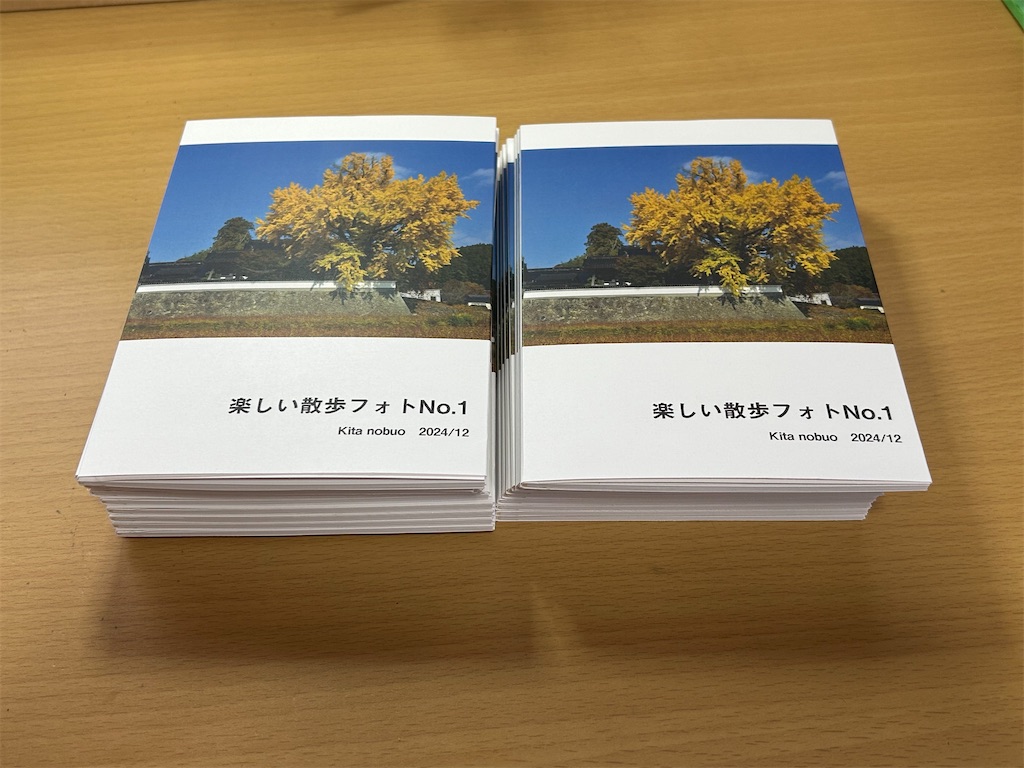 f:id:hangakun:20250206185210j:image
