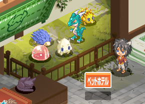 攻略】チョコランでペット育成を効率的に行う方法やペットの餌場を徹底