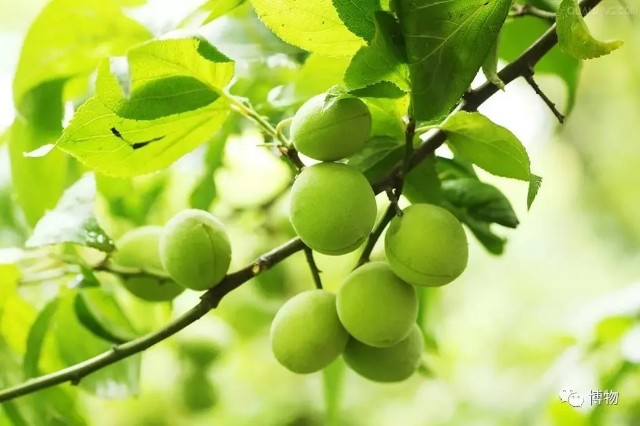 f:id:hangji3:20230321023844j:image f:id:hangji3:20230321023844j:image